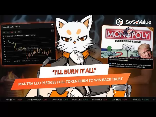 Mantra CEO Pledges Full Token Burn to Win Back Trust - SoSoValue News