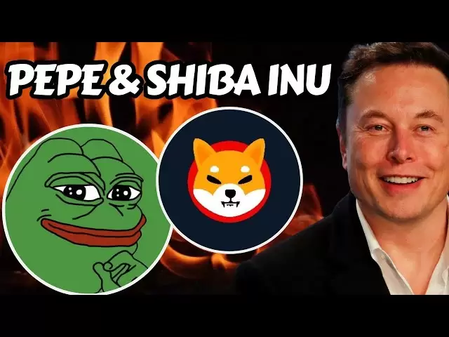 Pepe＆Shiba INU更新2025 |模因硬幣10x-20x |今天的加密新聞|加密新聞更新2025 |