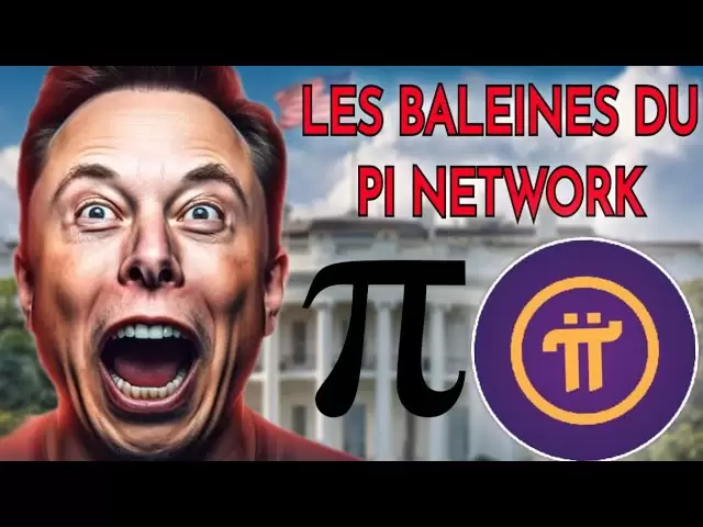 PI網絡：PI硬幣的鯨魚是誰（10m+零件）？