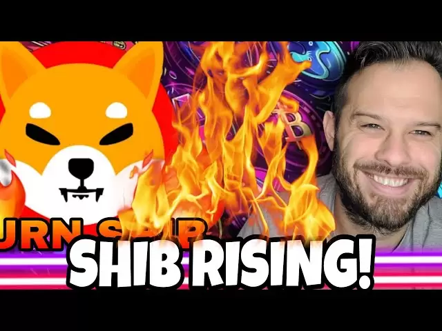 Shiba Inu硬币|上升的湿骨燃烧可能会导致什布价格上涨！