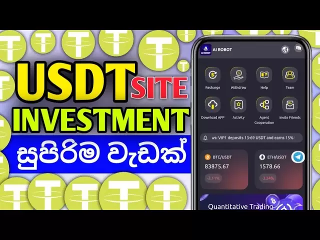 新的USDT投资网站| USDT硬币采矿网站新|最佳USDT赚取平台|赚钱