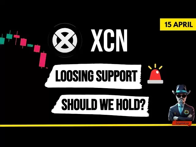 关键支持的XCN硬币| Onyxdao更新和最新分析