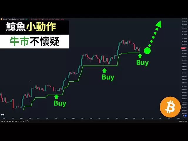 比特幣鯨魚小動作！ BTC牛市不懷疑