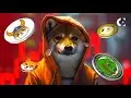 “ Doge，Shiba，Floki和Pepe正在崩溃至$ 0！