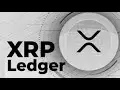 您可以从XRP赚取被动收入吗？这是XRPL AMM的工作方式以及您应该知道的！