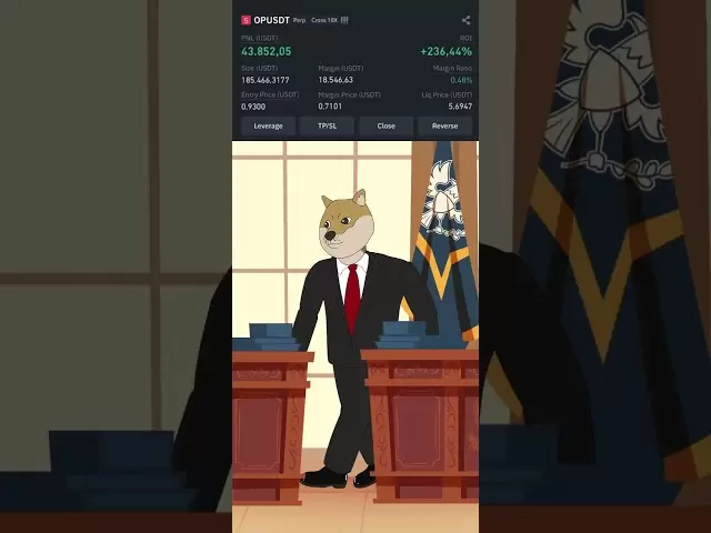 埃隆，我们为您提供了完美的解决方案🙌#xrp