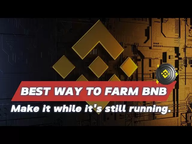 2025年耕種BNB的最佳方法💸Binance硬幣閃存發生器暴露了！