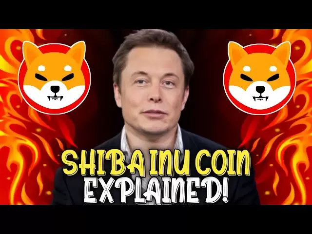 SHIBA INU $2 DATE CONFIRMED BY THE CEO!!! - SHIBA INU COIN NEWS TODAY