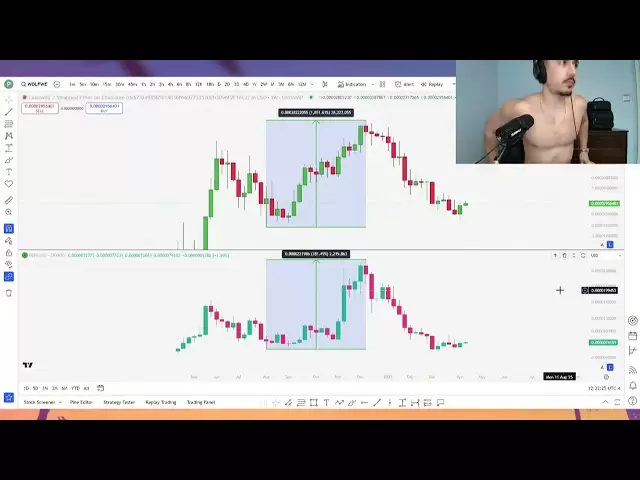 $ PEPE $ ANDY＆$ WOLF將在下一條比賽中進行高倍數！