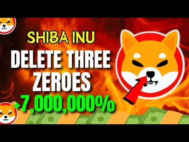 今年の終わりまでに3つのゼロを削除するための波1reu inuコイン!! - 本日のShiba Inuニュース