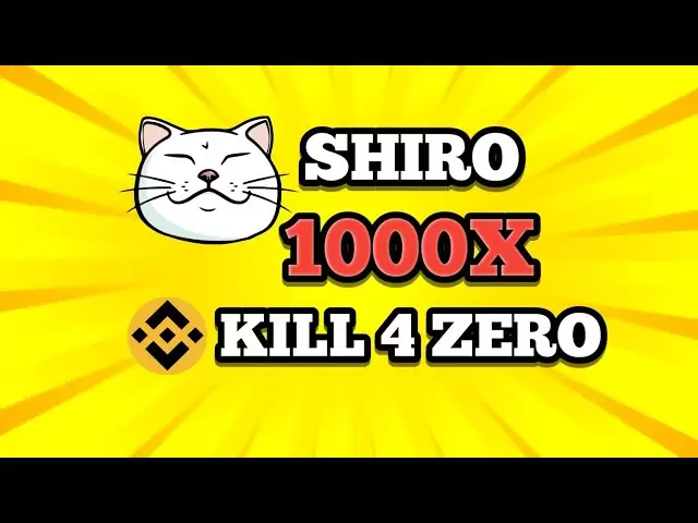 🎊（$ shiro neko）🎊最佳最佳低帽模因硬幣2025 ||殺死4個零|| 1000x ???