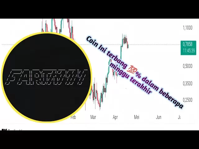 簡単なfartcoin分析!!!購入する時間？