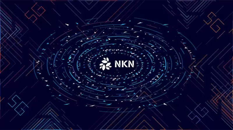 nkn（新しい種類のネットワーク）は大きな後押しをしています