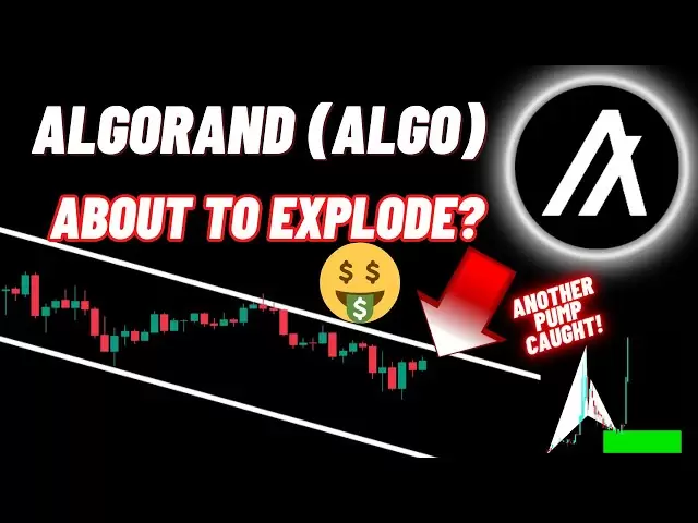 Algor et (algo) Crypto Coin sur le point d'exploser?