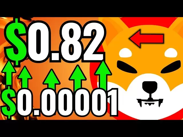 Shiba Inu: Shytoshi ist endlich zurück! Shib stieg auf 0,90 US -Dollar - Shiba Inu Coin News! Preisvorhersage