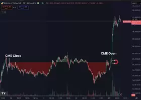 Daan Crypto Trades