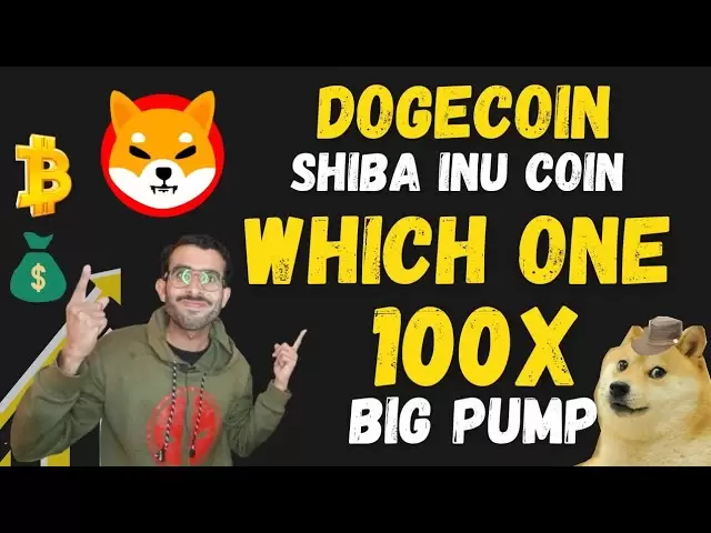Shiba Coin Update - Doge Coin News Today - Shiba gegen DogEcoin 100x