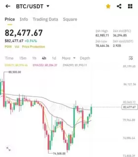BitBull