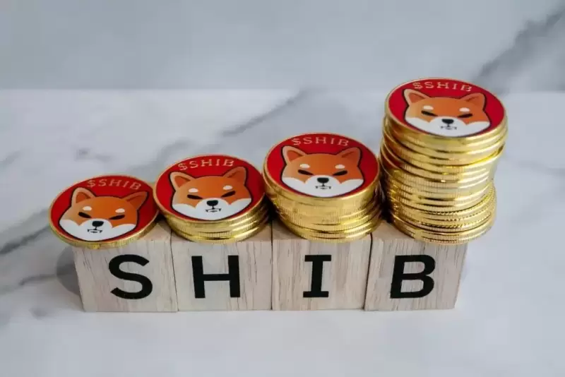 Shiba Inu (SHIB) Price Prediction: Will the Meme Coin Continue Its Rally? Shiba Inu (SHIB) Price Prediction: Will the Meme Coin Continue Its Rally?