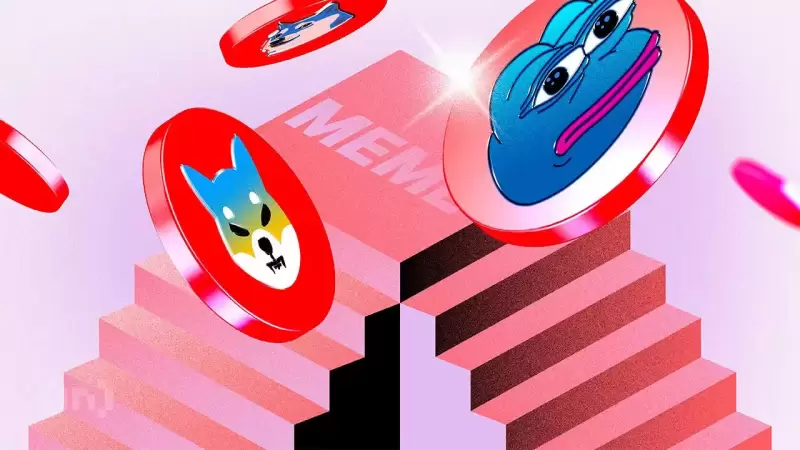 Altcoins continue to shine not just on the top blockchains in the crypto space Altcoins continue to shine not just on the top blockchains in the crypto space