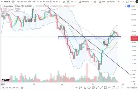 Cheds Trading