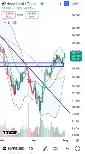 Cheds Trading