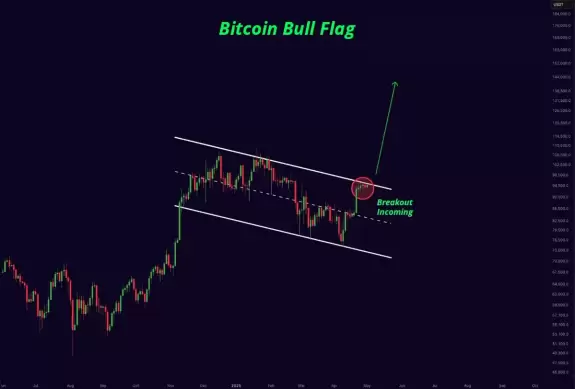 Mister Crypto