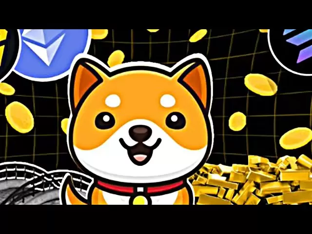 Baby Doge硬币与Binance Exchange和CZ BNB！