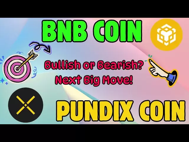 BNB＆Pundix硬币技术细分 - 领先地集吗？