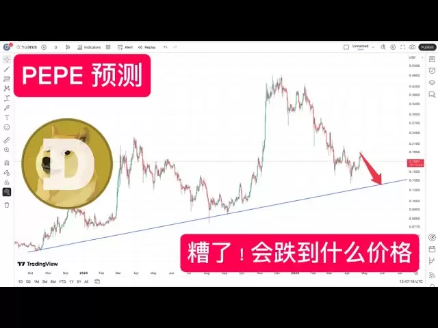 Dogecoinの最新の予測は、Dogeの最高のポジションビルディングポジションが明らかになったことを示しています。実際の爆発はまだ始まっていません。Dogecoinは今年1米ドルに達すると予想されています。ペペ市場分析と目標価格の予測！ BTC、ETH、SOL、DOGECOIN。