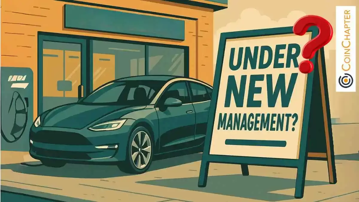 No Strong Movement After a Report Claimed Tesla Was Searching for a New CEO to Replace Elon Musk