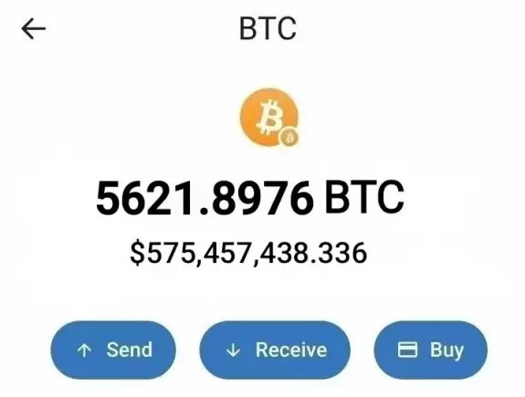 Bitcoin professor