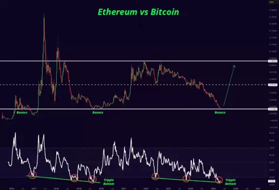 Mister Crypto