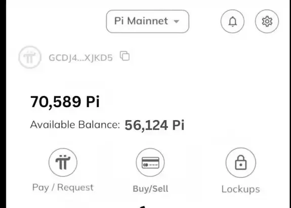 PI NEWS UPDATE