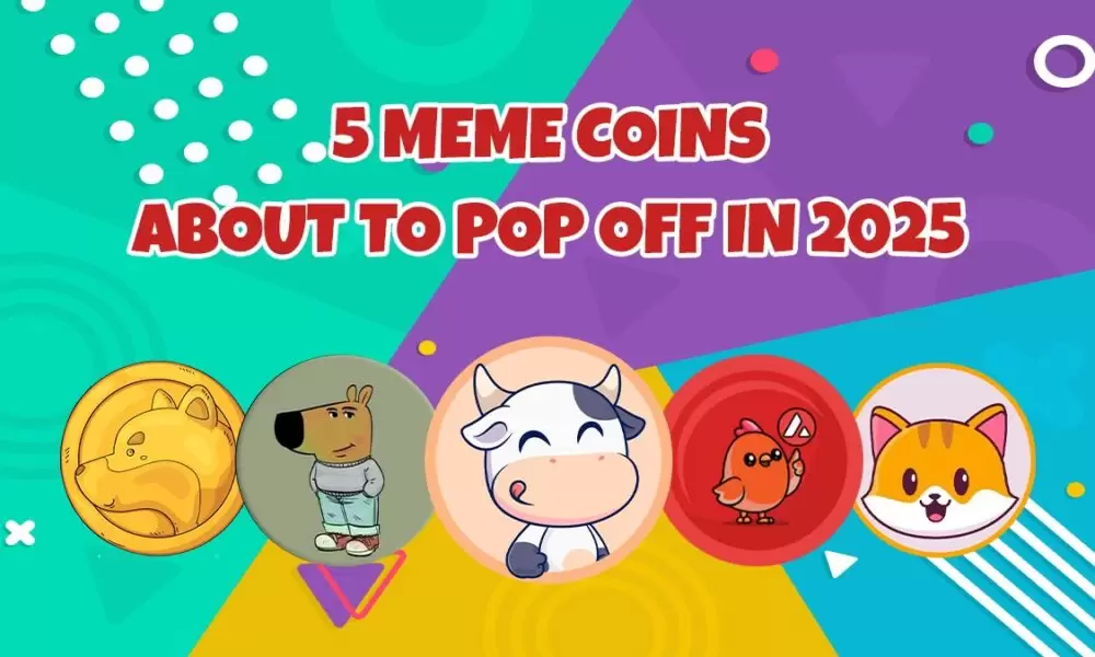 BTFD Coin (BTFD): The Next Big Meme Crypto