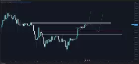 Trader Koala