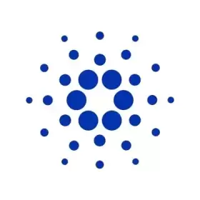 BlockNews