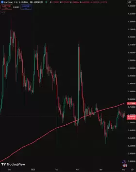 BlockNews