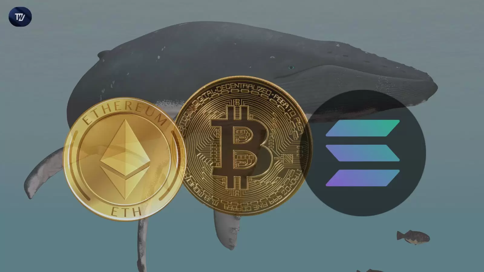 暗号ホエールは、1か月以内に「Hodl-ing」暗号トークンから900万ドル以上の利益を生み出しました