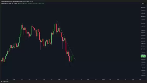 Crypto Rover