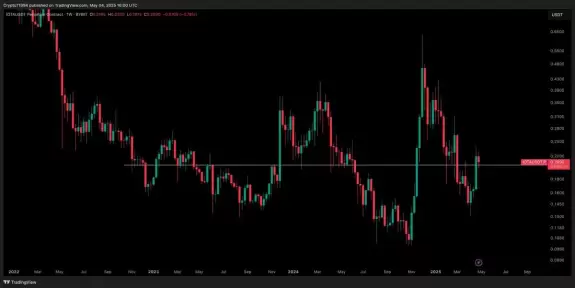 Crypto Tony