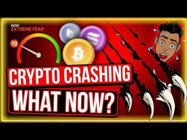 今日のビットコインアップデート|| Crypto Update Today || Ethereum Update || BNBアップデート