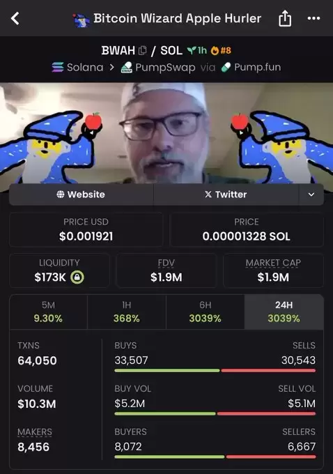 fomo🧠