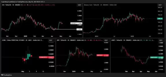 CryptoBusy