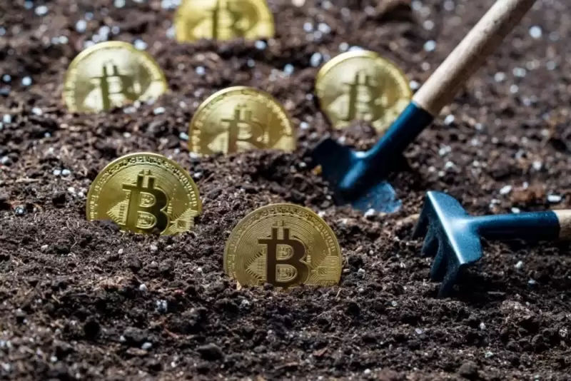 Bitcoin's BTC/USD Function as a Passive Store of Value Is Rapidly Giving Way to a More Dynamic Role