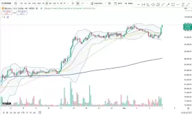 Cheds Trading