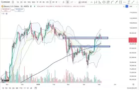 Cheds Trading