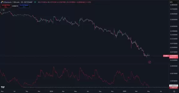 Daan Crypto Trades