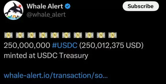 Crypto Rover