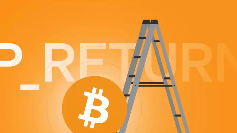 Bitcoin (BTC) Knots Node Software Downloads Spike as Developers Propose Controversial Increase to the Data Storage Capacity of a Script